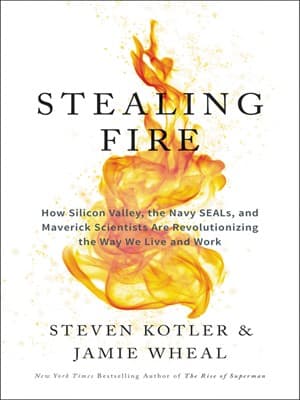 Portrait or artwork for Episode 88 – Jamie Wheal – Flow States, Creativity, Consciousness (Co-Author: Stealing Fire)