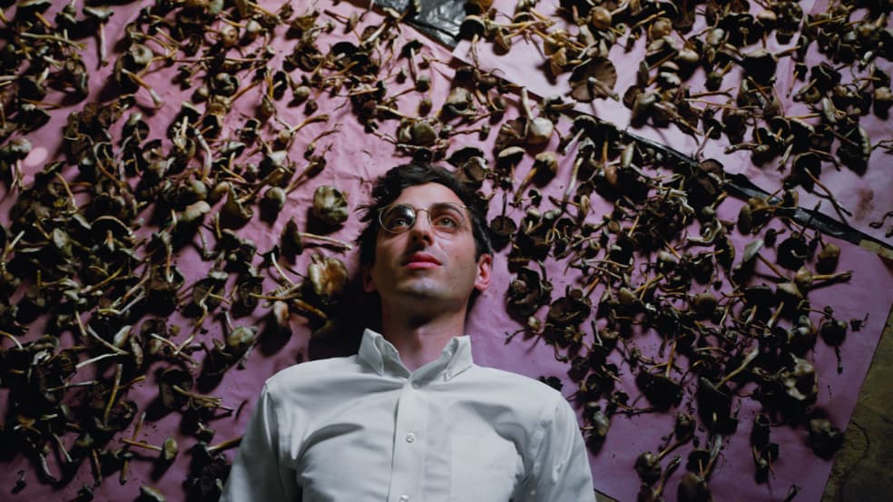 Portrait or artwork for Episode 98 – Hamilton Morris on Chemistry, obscure compounds and working with VICELAND