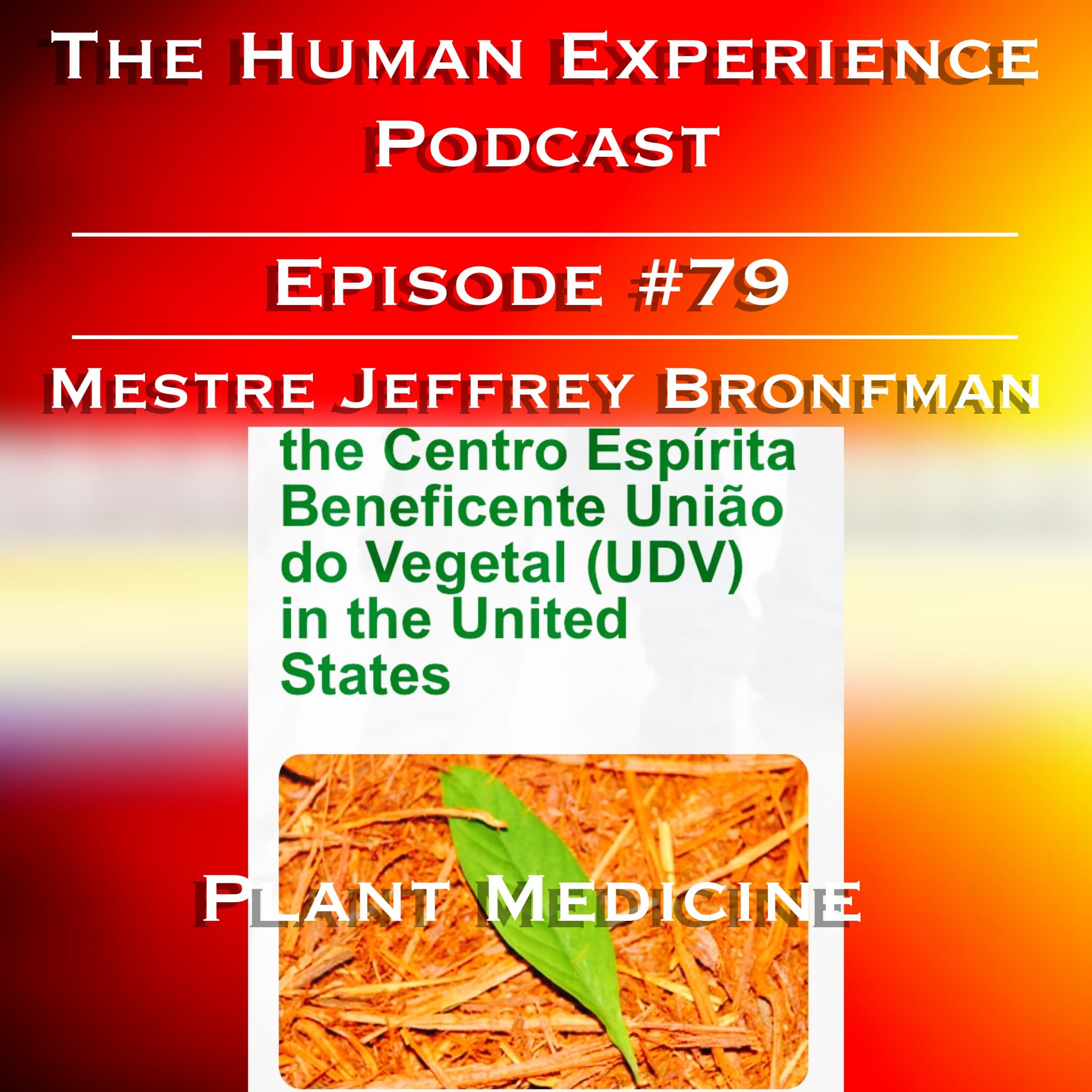 Artwork for Episode 79 – Jeffrey Bronfman – União do Vegetal (Union of the Vine: Ayahuasca)